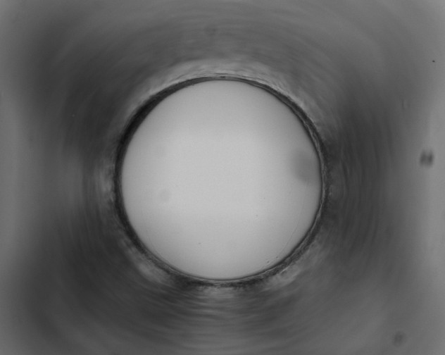 X0000102841499200809021324