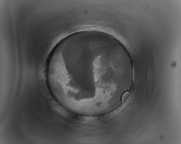 X0000102841501200809021324