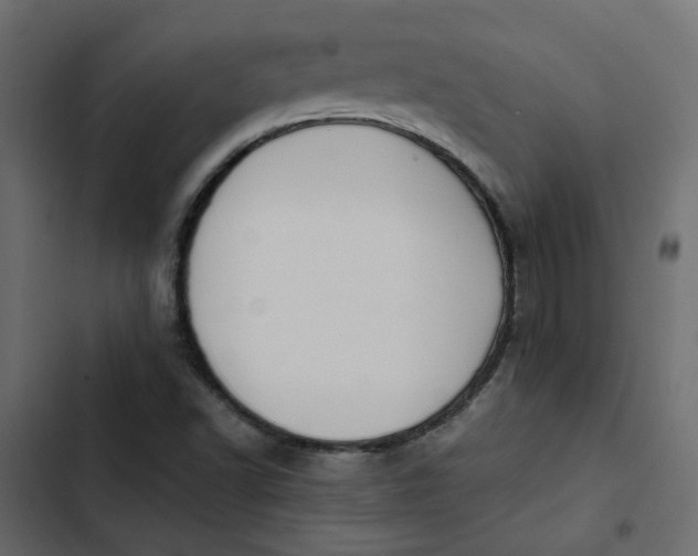 X0000102841502200809021324