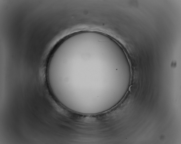 X0000102841503200809021324