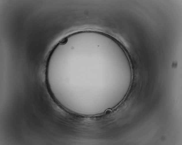 X0000102841504200809021324