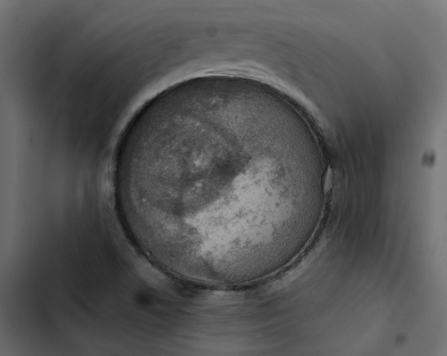 X0000102841506200809021324