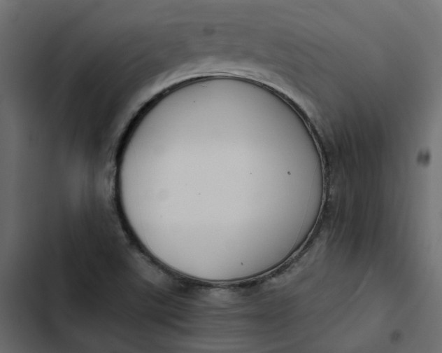 X0000102841507200809021324