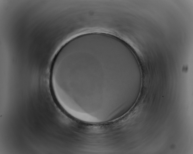 X0000102841508200809021324