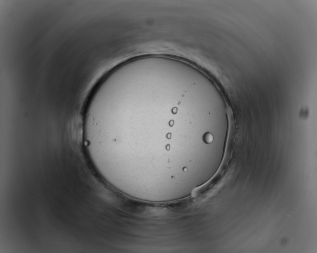 X0000102841509200809021324