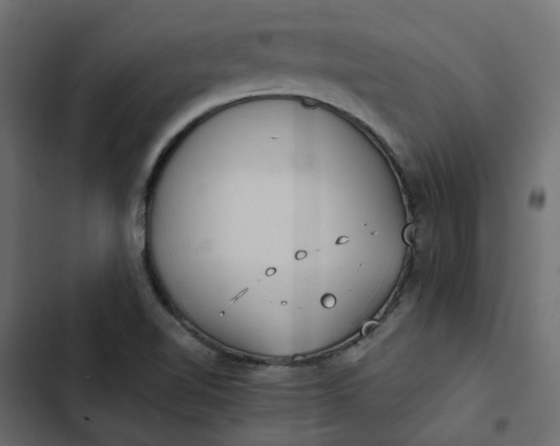 X0000102841510200809021324