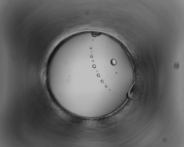 X0000102841511200809021324