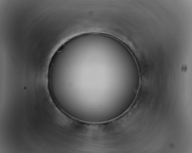 X0000102841512200809021324