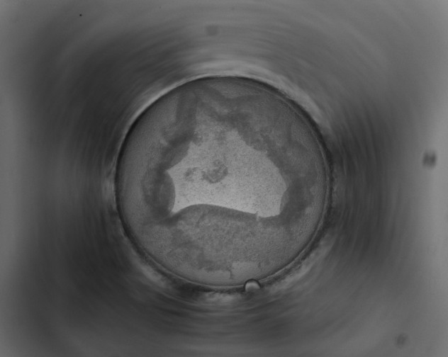 X0000102841513200809021324