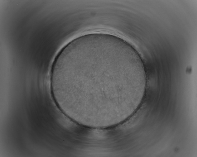 X0000102841514200809021324