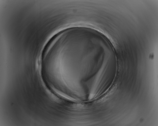 X0000102841515200809021324