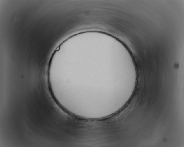 X0000102841516200809021324