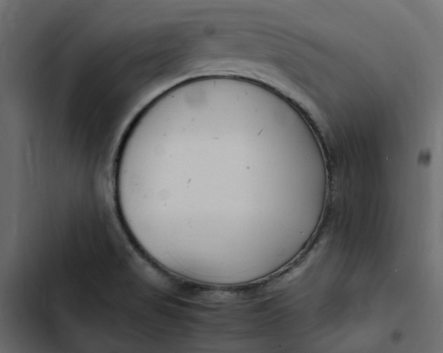 X0000102841517200809021324