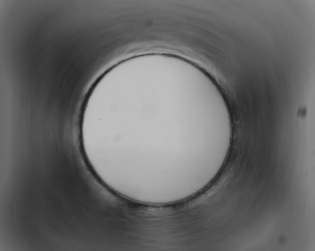 X0000102841518200809021324