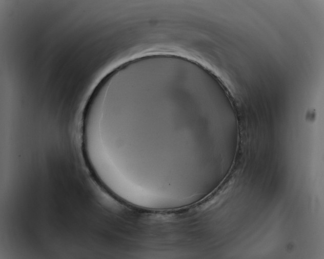 X0000102841519200809021324