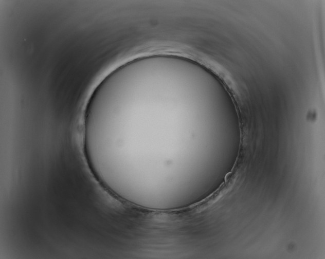 X0000102841520200809021324