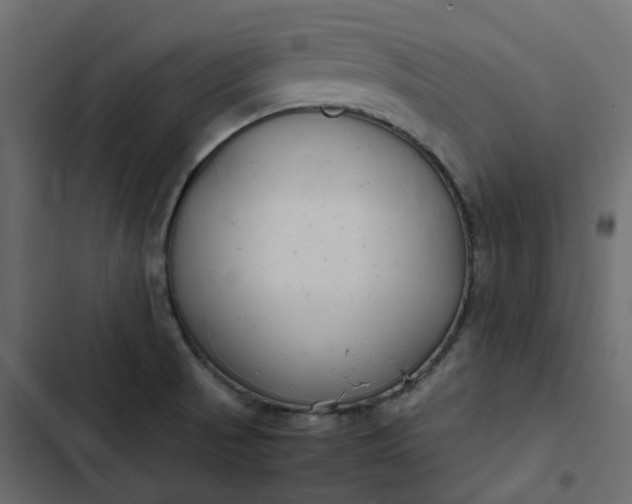 X0000102841521200809021324