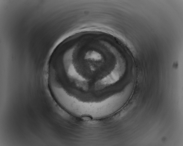 X0000102841522200809021324