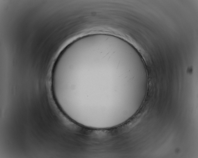 X0000102841523200809021324