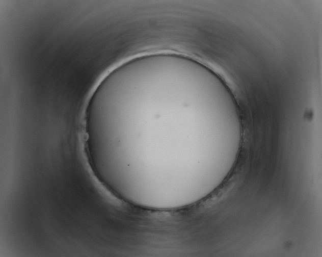 X0000102841524200809021324