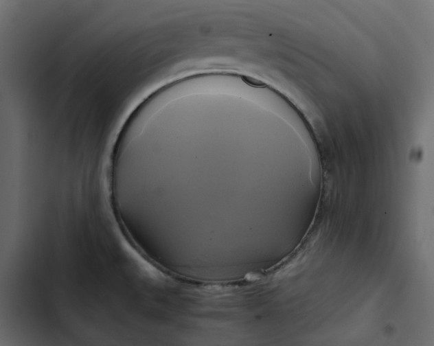 X0000102841527200809021325