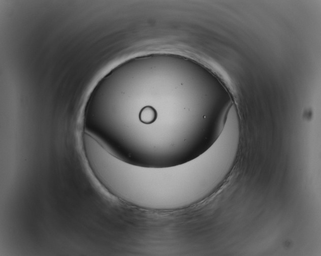 X0000102841528200809021325