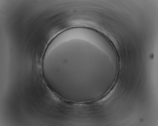 X0000102841529200809021325