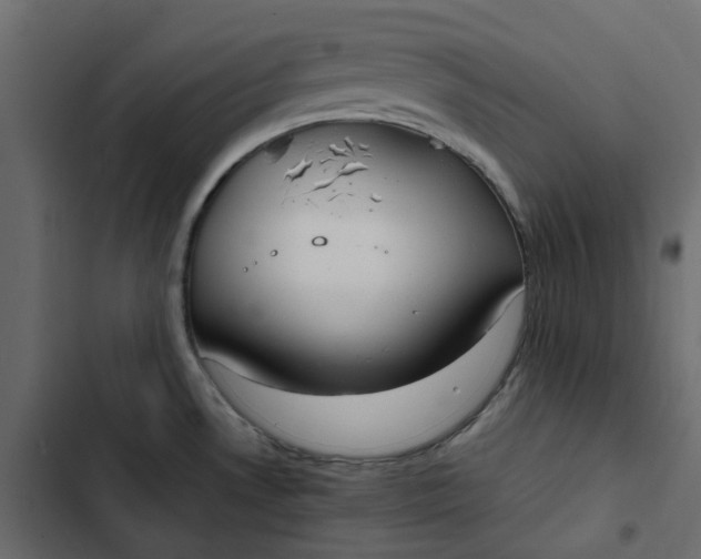 X0000102841530200809021325