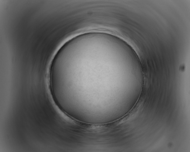 X0000102841531200809021325