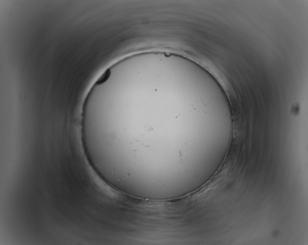 X0000102841532200809021325