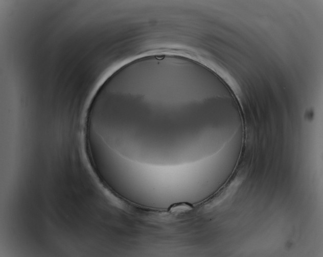 X0000102841533200809021325