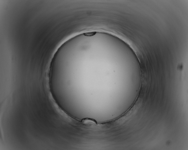 X0000102841534200809021325