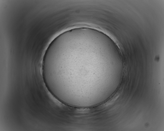 X0000102841535200809021325