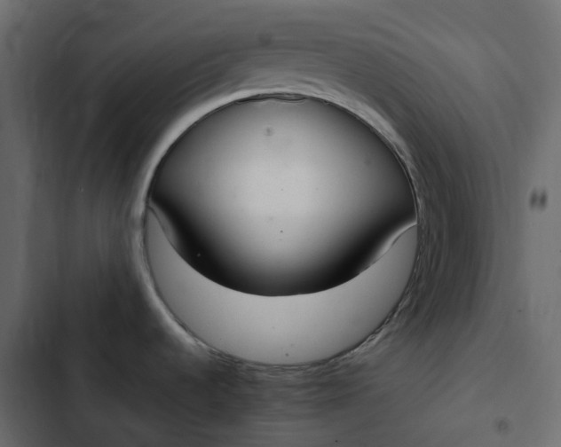 X0000102841536200809021325