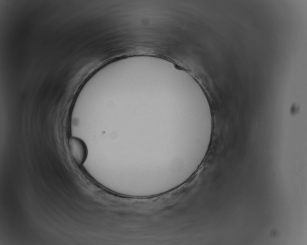 X0000102840001200809081231