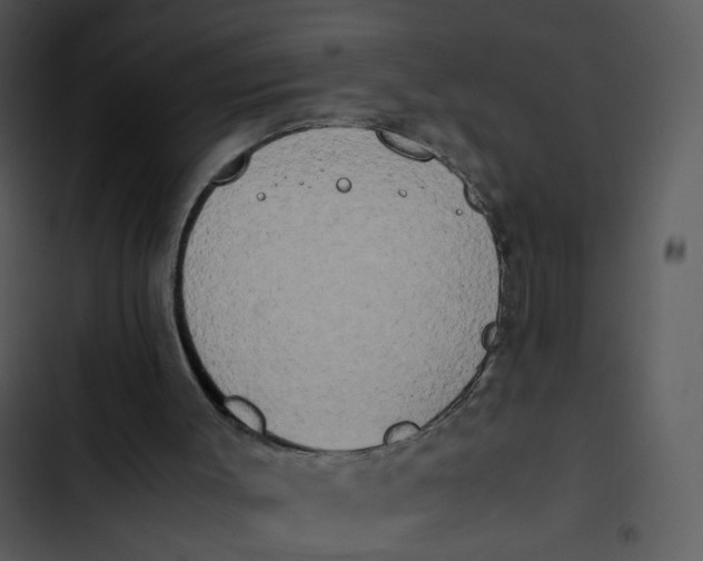 X0000102840003200809081231