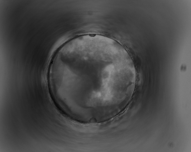 X0000102840004200809081231