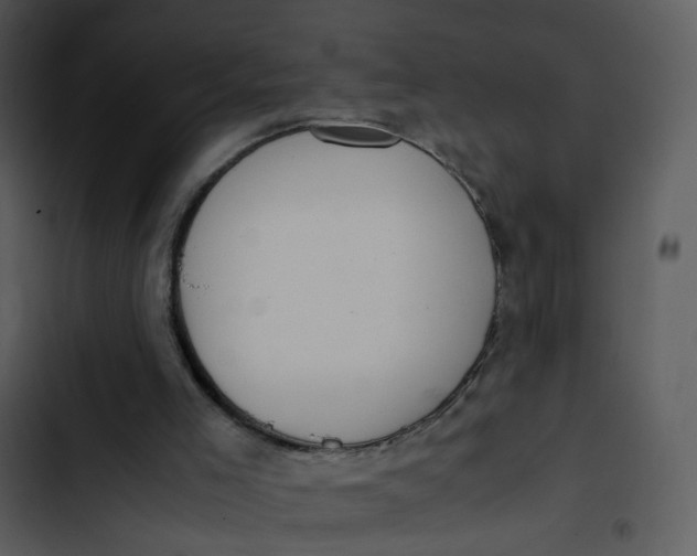 X0000102840005200809081230