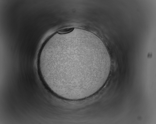 X0000102840006200809081230