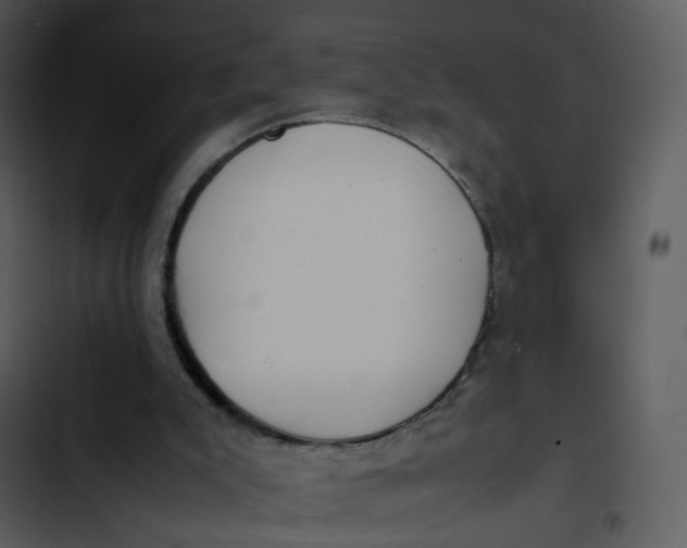 X0000102840007200809081230