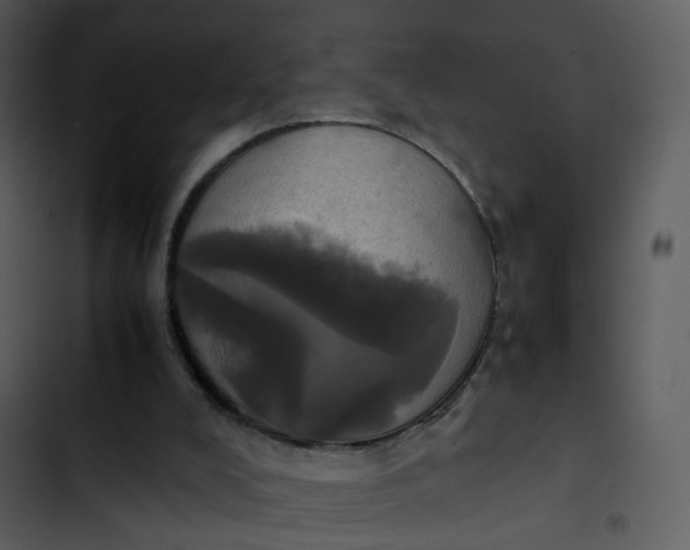 X0000102840008200809081230