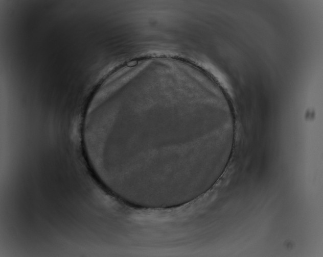 X0000102840009200809081230