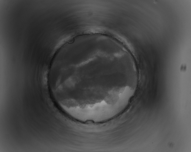 X0000102840010200809081230