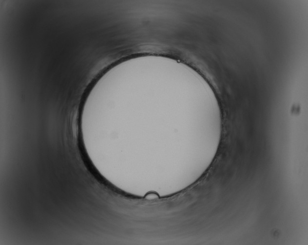 X0000102840011200809081230