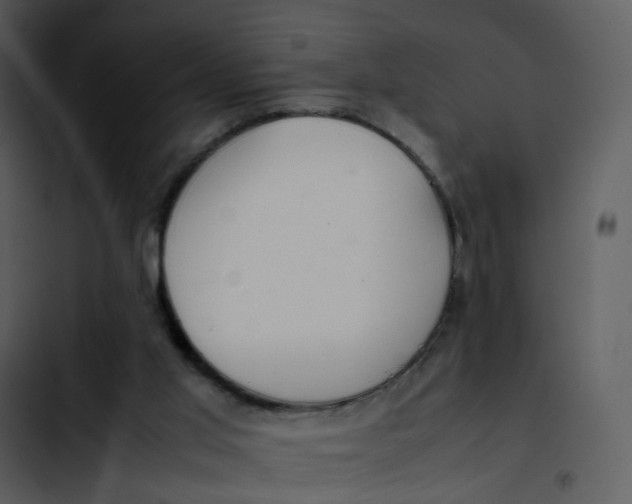 X0000102840013200809081230