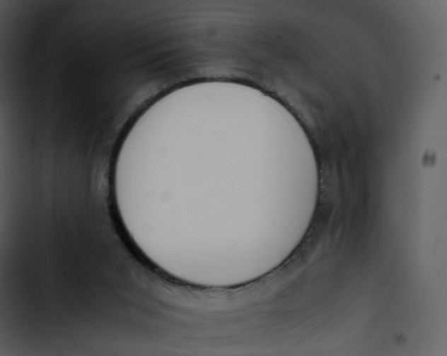 X0000102840015200809081230