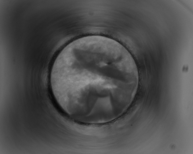 X0000102840016200809081230