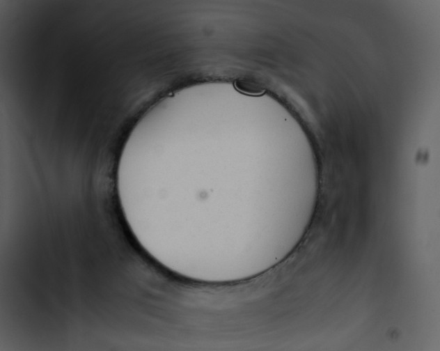 X0000102840017200809081230