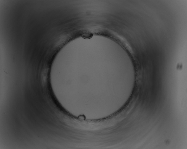 X0000102840018200809081230