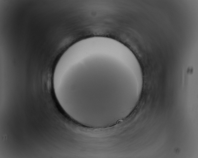 X0000102840019200809081230